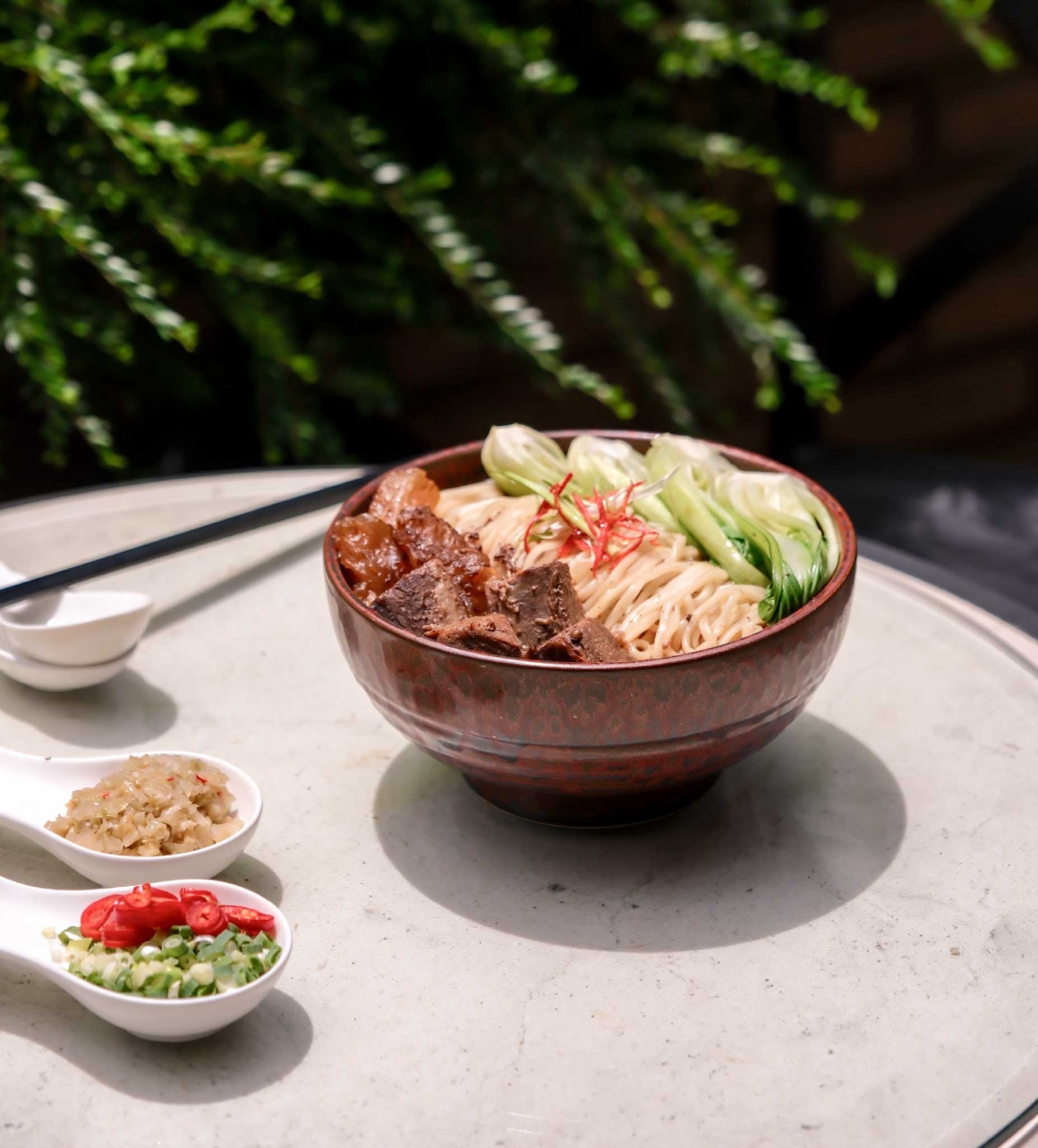 Braised Beef Noodle Soup